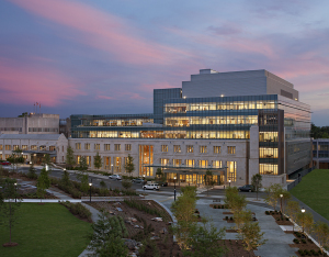 DUKE UNIVERSITY OPEN SPACE - Gibson Landscape