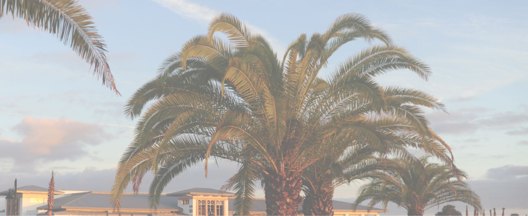 Services Gibson Landscape