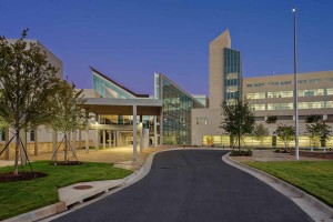 MARTIN ARMY COMMUNITY HOSPITAL | Gibson Landscape